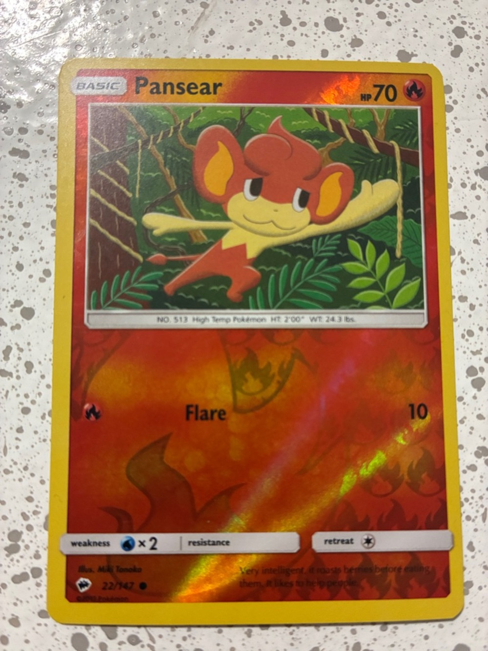 Pansear Fire Basic Holo Card - Basic - HP 70